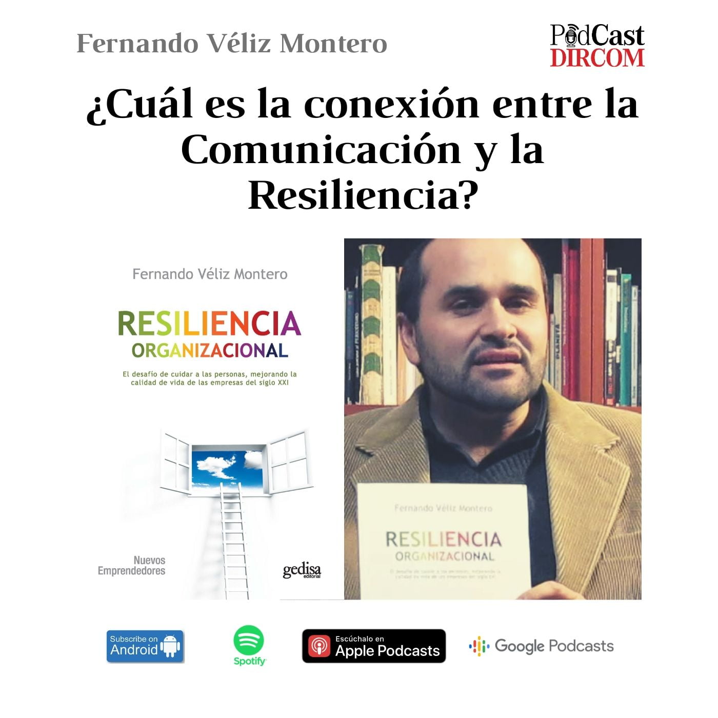 ¿Qué es la Resiliencia Organizacional?
